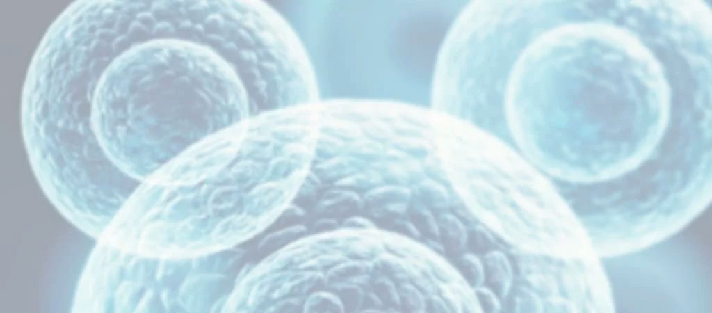 Exosomi: viitorul tratament al părului